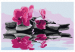 Cuadro para pintar con números Orquídea y piedras zen reflejadas en un espejo del agua 107164 additionalThumb 7