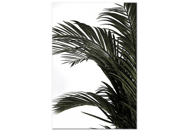 Obraz na płótnie Domowa palma - minimalistyczny motyw botaniczny z palmowymi liśćmi