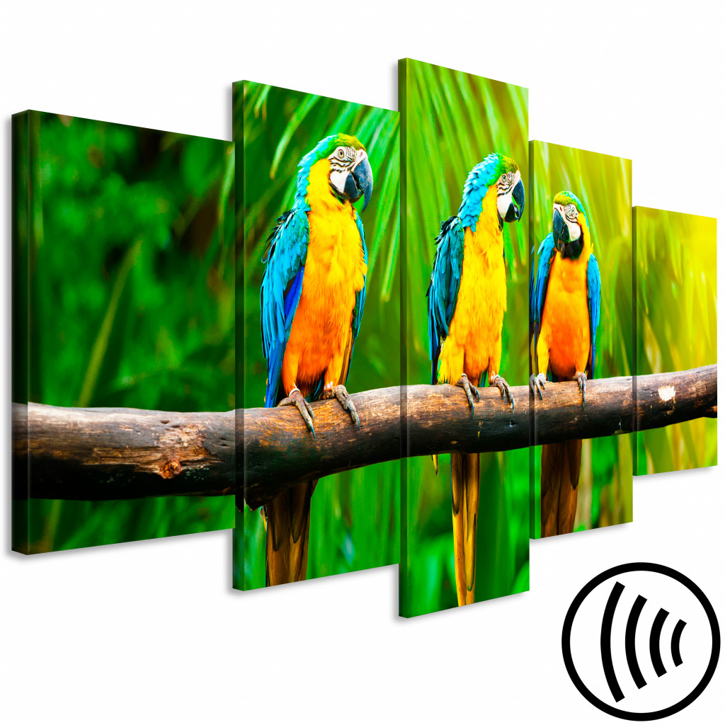 Schilderij  Vogels: Parrot Trio (5 Parts) Wide