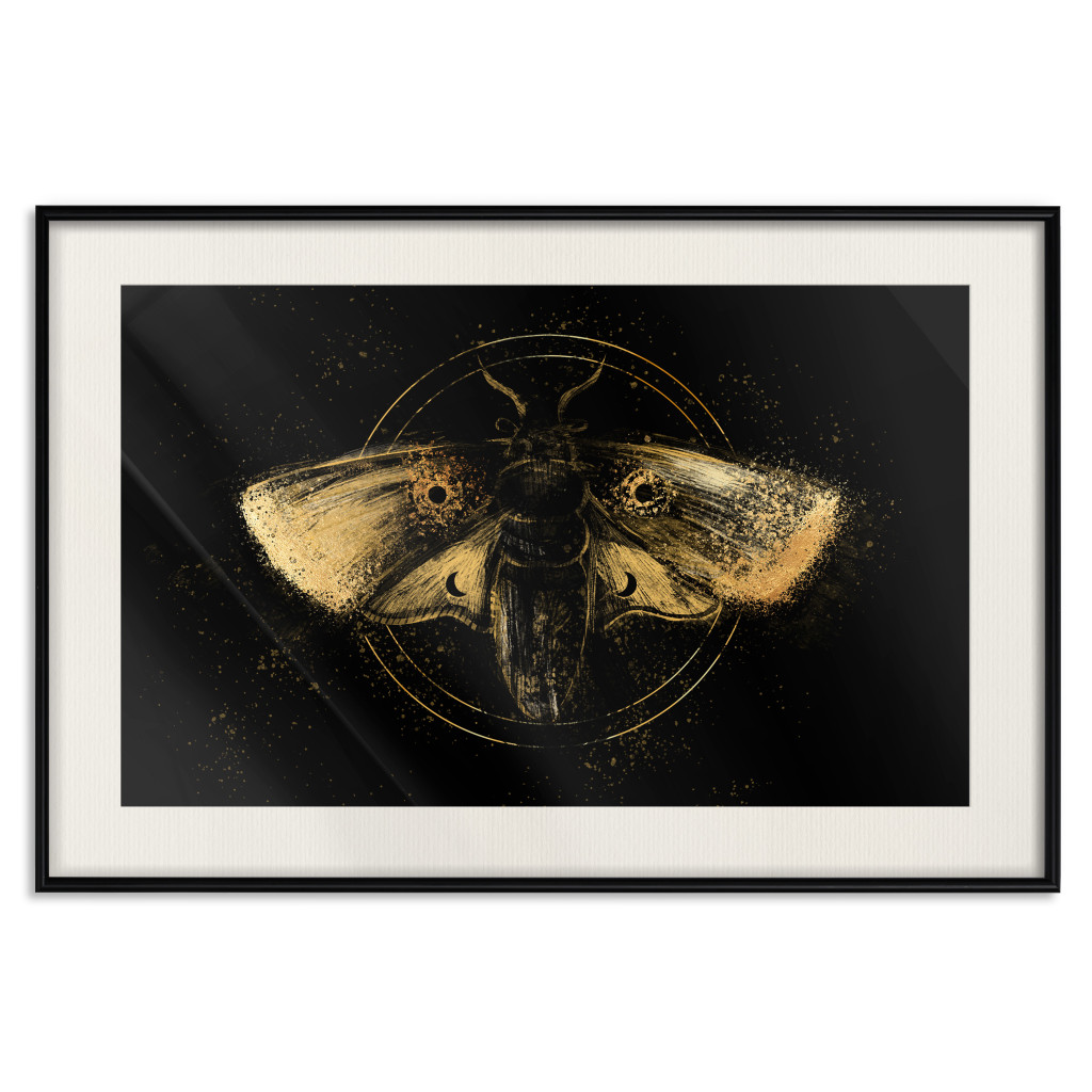 Muur Posters Night Moth [Poster]
