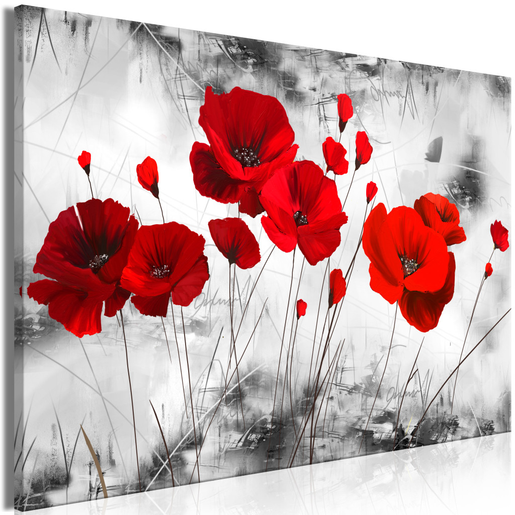 Schilderij Red Poppy Bed [Large Format]