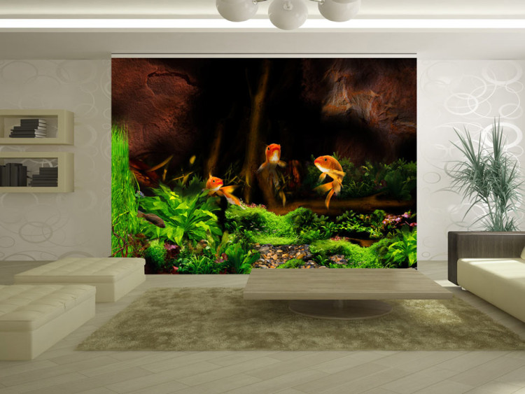Photo Wallpaper Marine World - Three golden fish in a dark cave with green flora 61264