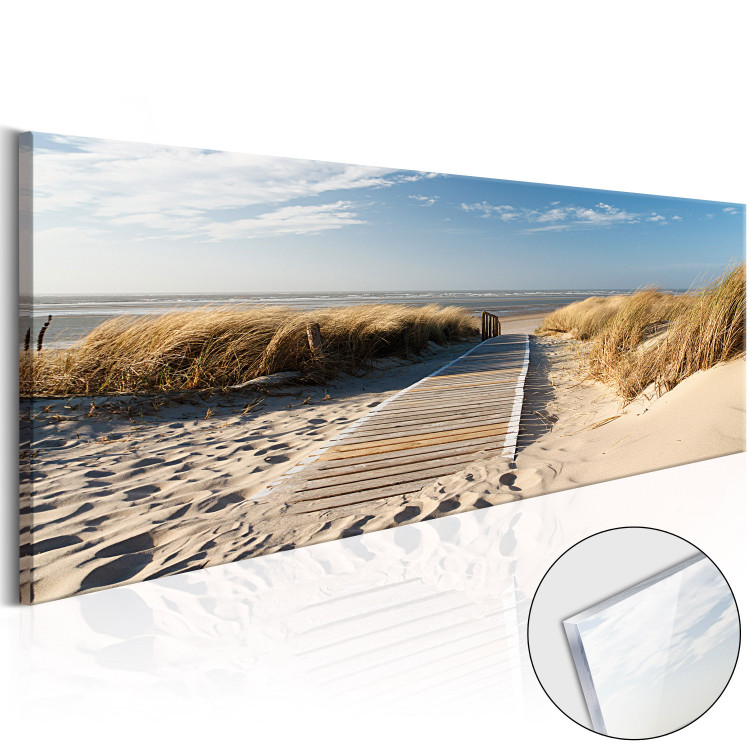 Acrylic Print Wild Beach [Glass] 92664
