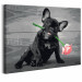 Paint by Number Kit Dog With A Rose 107174 additionalThumb 5