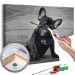 Paint by Number Kit Dog With A Rose 107174