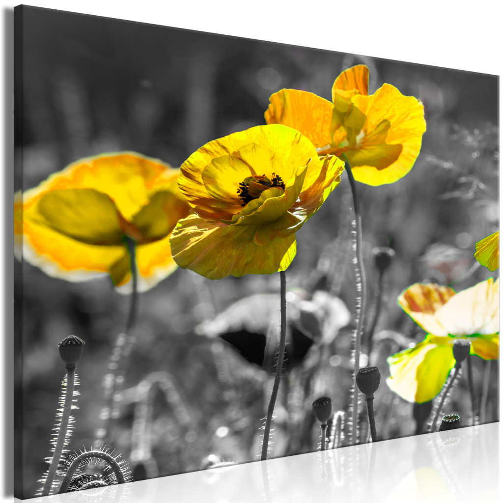 Schilderij Yellow Poppies [Large Format]