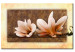 Bild auf Leinwand Magnolien-Natur (1-teilig) - Helle Blumen auf bräunlichem Hintergrund 48474