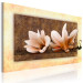 Quadro moderno Natura della magnolia (1 pezzo) - Fiori chiari su sfondo marrone 48474 additionalThumb 2