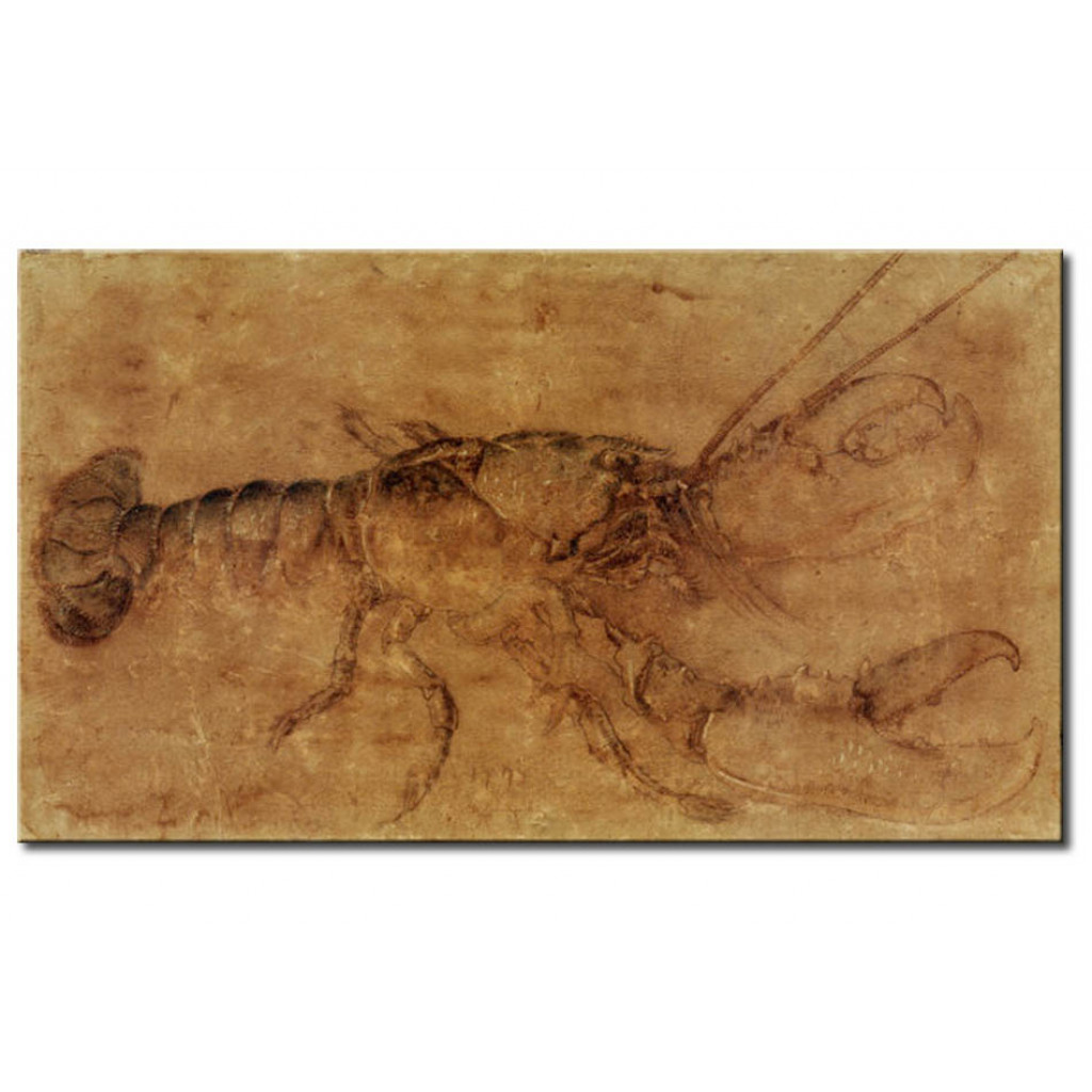 Schilderij  Albrecht Dürer: Lobster