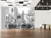 Wall Mural On the Streets of New York City, USA - black and white urban architecture 59774