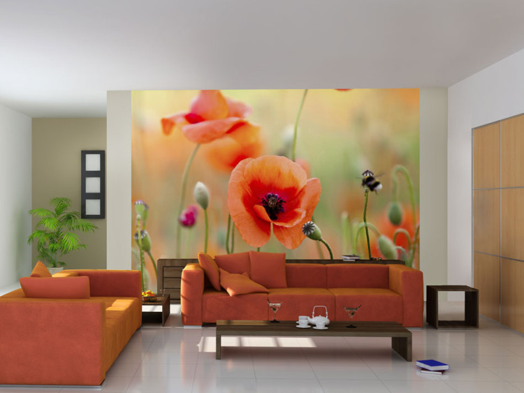Wall Mural Magical Charm of Summer - Poppies Close-up with a Meadow Nature 60374
