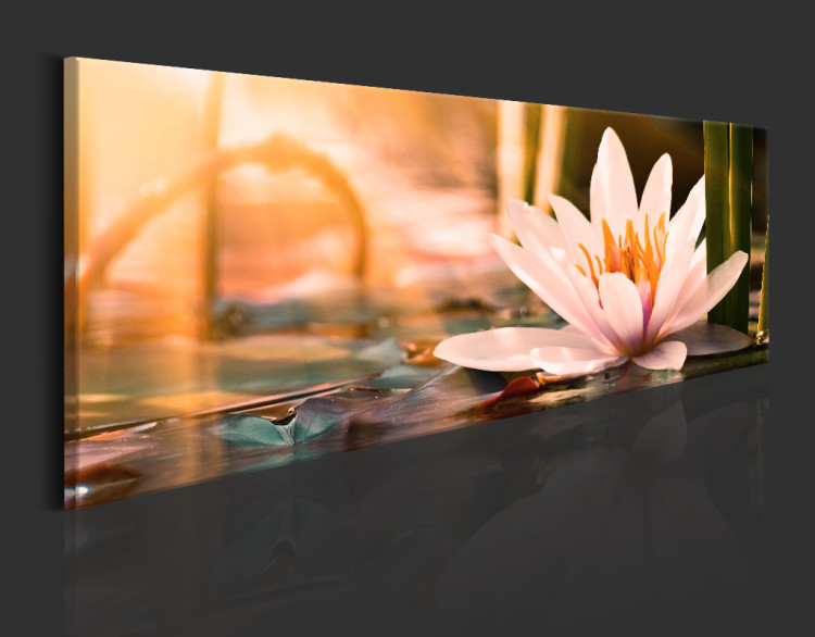 Acrylic Print Beautiful Lotus [Glass] 93174 additionalImage 6