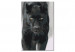  Dibujo para pintar con números Black Panther 134884 additionalThumb 6