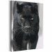  Dibujo para pintar con números Black Panther 134884 additionalThumb 4