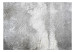 Carta da parati moderna Geroglifici della natura - riflesso astratto in bianco e nero 137884 additionalThumb 1