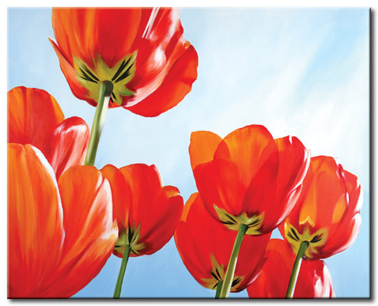 Obraz Tulipany (1-częściowy) - czerwone kwiaty na tle błękitnego nieba 48684