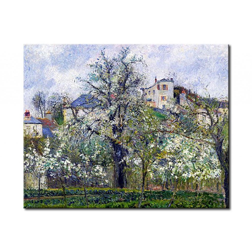 Cópia Do Quadro The Vegetable Garden With Trees In Blossom, Spring, Pontoise