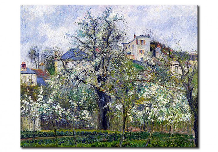Reprodukcja obrazu Ogrów warzywny z kwitnącymi drzewami, wiosna w Pontoise 53684