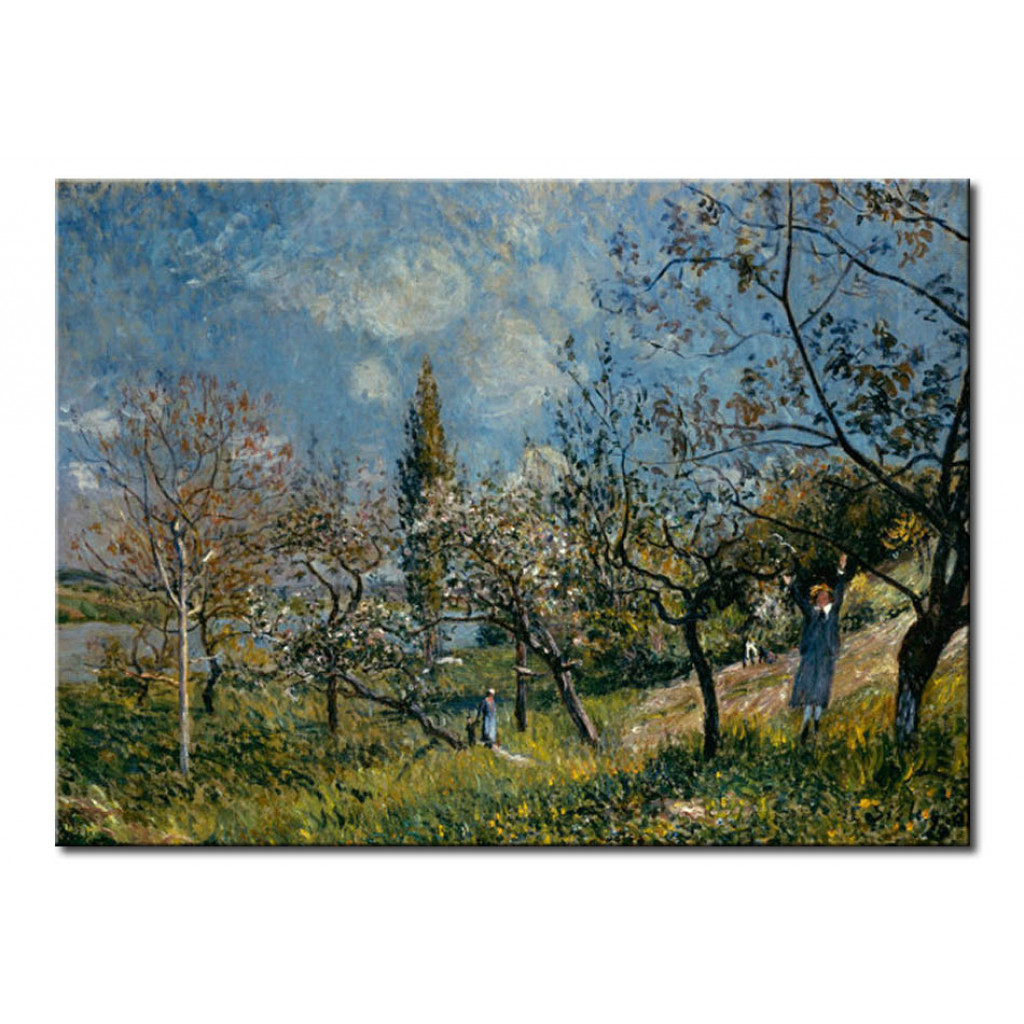 Schilderij  Alfred Sisley: Fruit Garden In Spring
