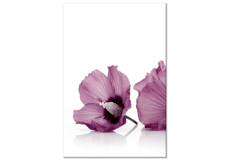 Obraz na płótnie Różowe płatki malw - minimalistyczna kompozycja kwiatowa na białym tle