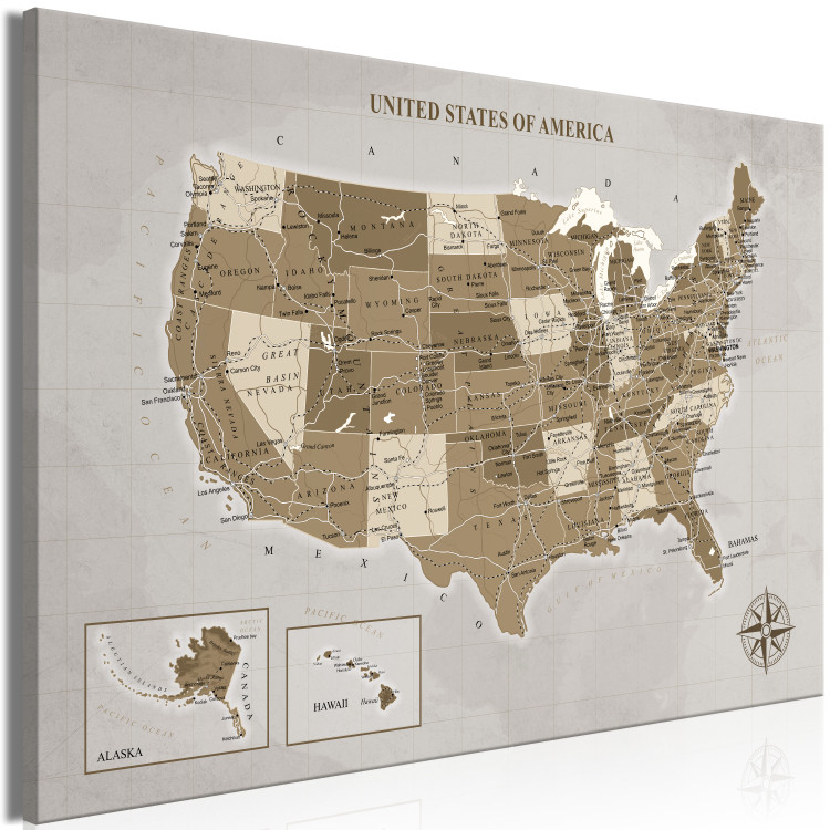 Obraz Mapa Stanów Zjednoczonych Ameryki Północnej - brązowa kompozycja 127894 additionalImage 2