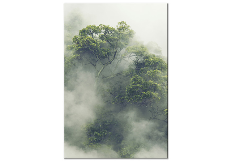 Quadro su tela Foggy Amazon (1 Part) Vertical