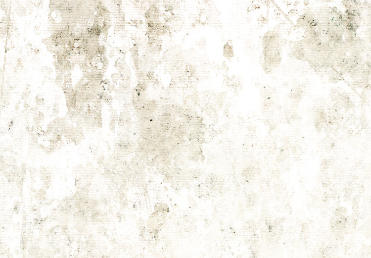 Carta da parati Texture Variety - Beige Background With Abstract Stains 145294 additionalImage 4