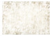 Carta da parati Texture Variety - Beige Background With Abstract Stains 145294 additionalThumb 1