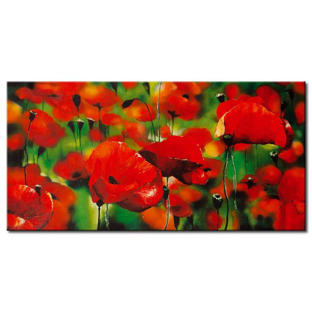 Schilderij  Weide: Rode Klaprozen - Een Weide Vol Bloemen Met Zeer Verzadigde Kleuren