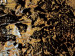 Leinwandbild Meteorit  48294 additionalThumb 2