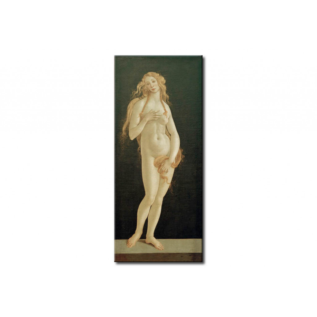 Schilderij  Sandro Botticelli: The Birth Of Venus