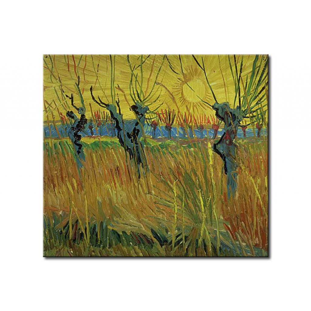 Schilderij  Vincent Van Gogh: Pollarded Willows And Setting Sun