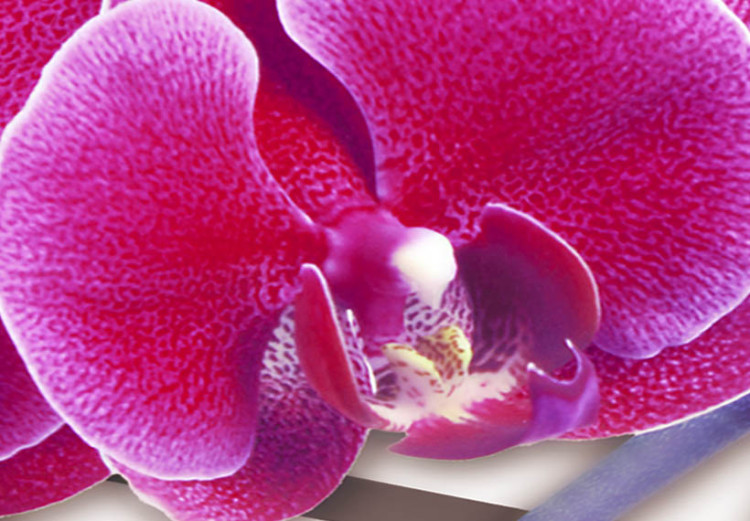 Quadro moderno Orchidea su sfondo attenuato 55594 additionalImage 4