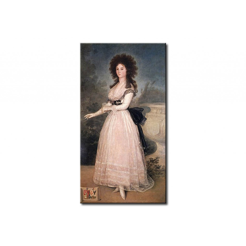 Schilderij  Francisco Goya: Dona Tadea Arias De Enriquez