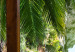 Carta da parati Vista tropicale - paesaggio con acqua turchese circondata da palme 129105 additionalThumb 4