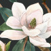 Tapeta Białe magnolie 143105 additionalThumb 3