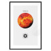 Poster Venus  - The Brightest Planet in the Solar System II 149105 additionalThumb 27