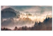 Obraz Las we mgle - górzysty krajobraz z drzewami o wschodzie słońca 149805