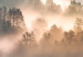 Obraz Las we mgle - górzysty krajobraz z drzewami o wschodzie słońca 149805 additionalThumb 4