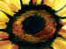 Canvas Print Sunflowers 48605 additionalThumb 3