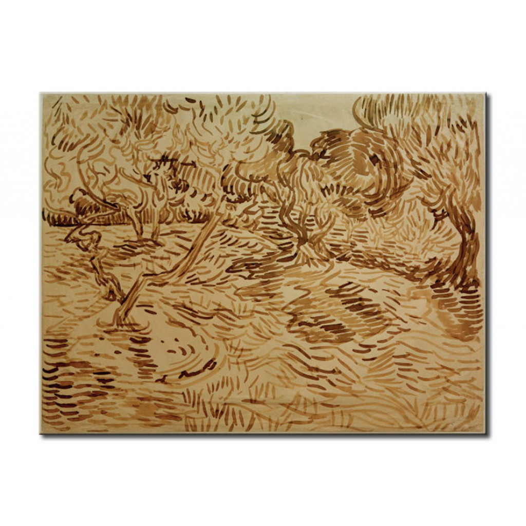 Schilderij  Vincent Van Gogh: Olive Grove