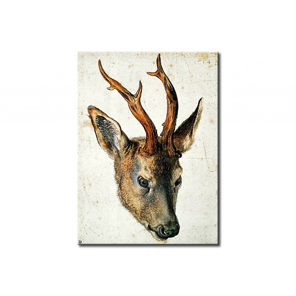 Målning Head Of A Roe Deer