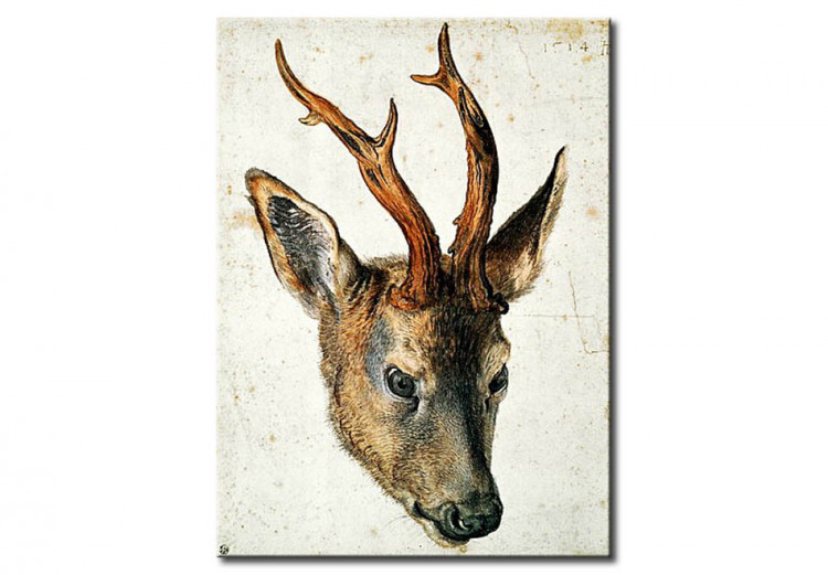 Reprodução da pintura famosa Head of a Roe Deer 51005