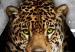 Canvas Art Print Green-eyed cheetah 55905 additionalThumb 5