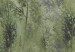 Wall Mural Tall Grasses - Green 131715 additionalThumb 4
