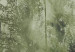 Wall Mural Tall Grasses - Green 131715 additionalThumb 3