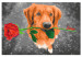 Måla med siffror Dog With Rose  132315 additionalThumb 6