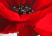 Quadro rotondo Flowery Tale - Red Poppies on an Abstract Gray Background 148615 additionalThumb 3