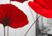 Quadro rotondo Flowery Tale - Red Poppies on an Abstract Gray Background 148615 additionalThumb 2