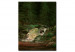 Reprodukcja obrazu Waterfall in the fir wood 54015
